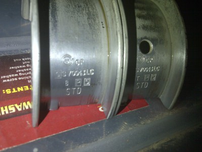 IMG-20130426-00177.jpg
