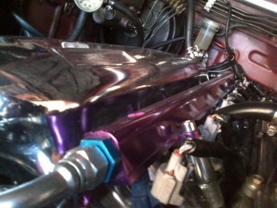 IMG-20130820-00586.jpg